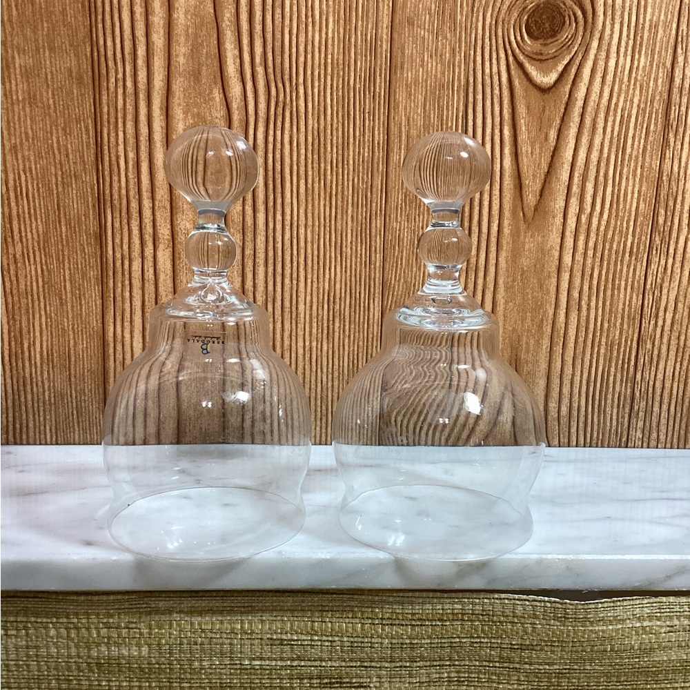 Bergdala Elegant Clear Glass Cloche Set